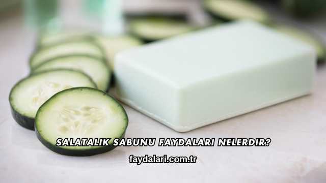 Salatalık Sabunu Faydaları Nelerdir?