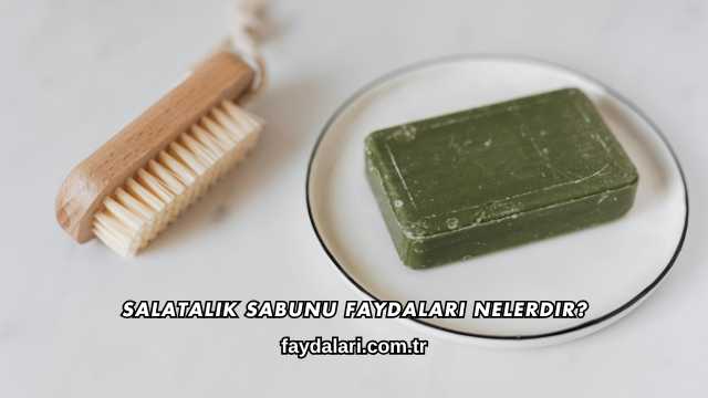 Salatalık Sabunu Faydaları Nelerdir?