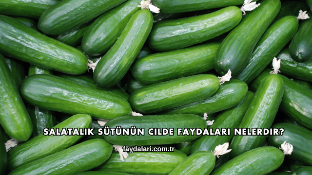 Salatalık Sütünün Cilde Faydaları Nelerdir?