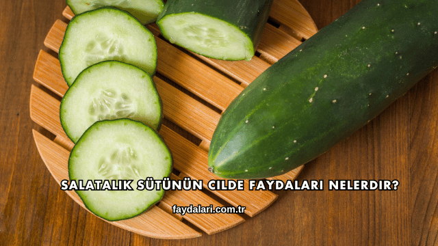 Salatalık Sütünün Cilde Faydaları Nelerdir?
