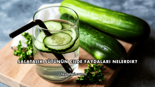 Salatalık Sütünün Cilde Faydaları Nelerdir?
