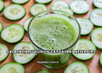 Salatalık Suyunun Faydaları Nelerdir?