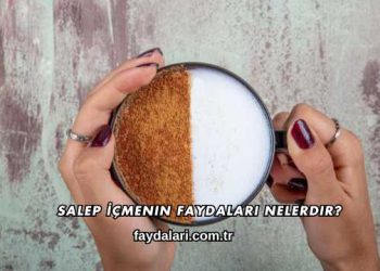 Salep İçmenin Faydaları Nelerdir?