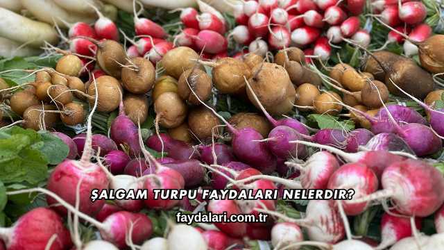 Şalgam Turpu Faydaları Nelerdir?