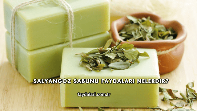 Salyangoz Sabunu Faydaları Nelerdir?