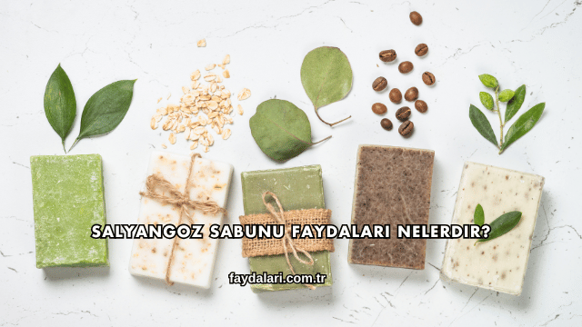 Salyangoz Sabunu Faydaları Nelerdir?