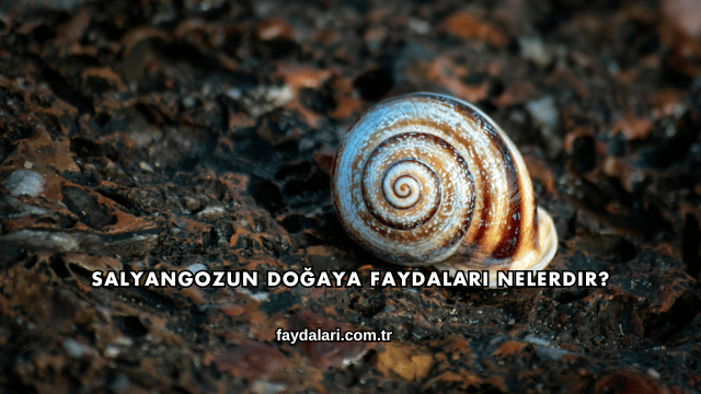 Salyangozun Doğaya Faydaları Nelerdir?