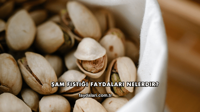 Şam Fıstığı Faydaları Nelerdir?
