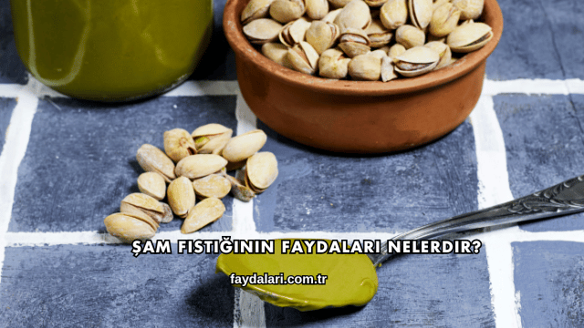 Şam Fıstığının Faydaları Nelerdir?