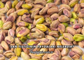 Şan Fıstığının Faydaları Nelerdir?