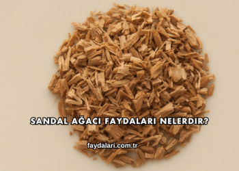 Sandal Ağacı Faydaları Nelerdir?