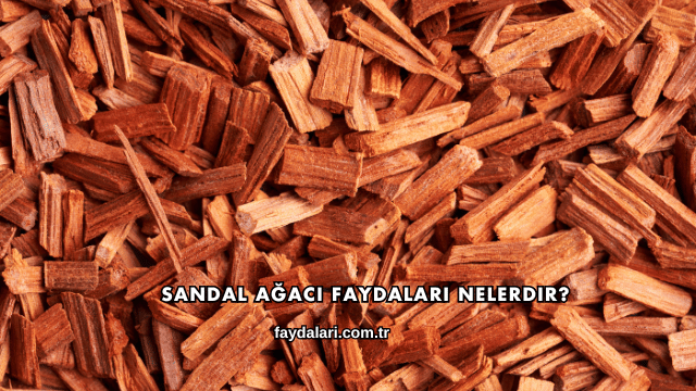 Sandal Ağacı Faydaları Nelerdir?