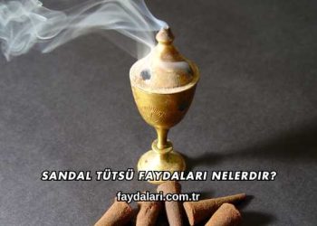 Sandal Tütsü Faydaları Nelerdir?