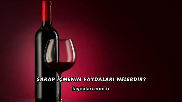 Şarap İçmenin Faydaları Nelerdir?