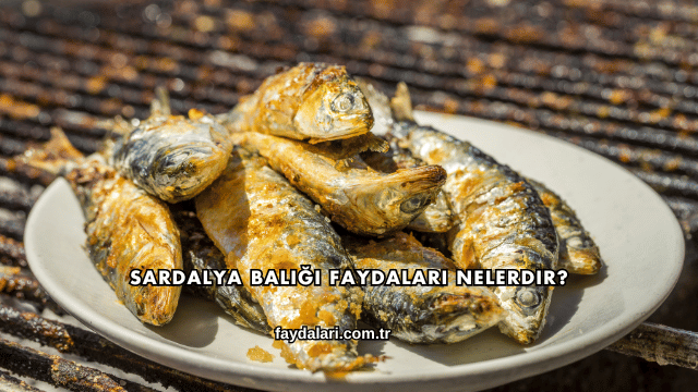 Sardalya Balığı Faydaları Nelerdir?