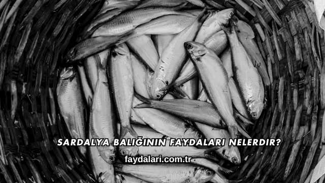 Sardalya Balığının Faydaları Nelerdir?