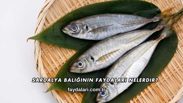 Sardalya Balığının Faydaları Nelerdir?