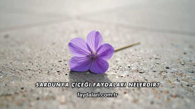 Sardunya Çiçeği Faydaları Nelerdir?