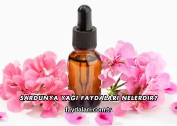 Sardunya Yağı Faydaları Nelerdir?