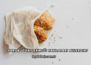 Sarı Buğday Ekmeği Faydaları Nelerdir?