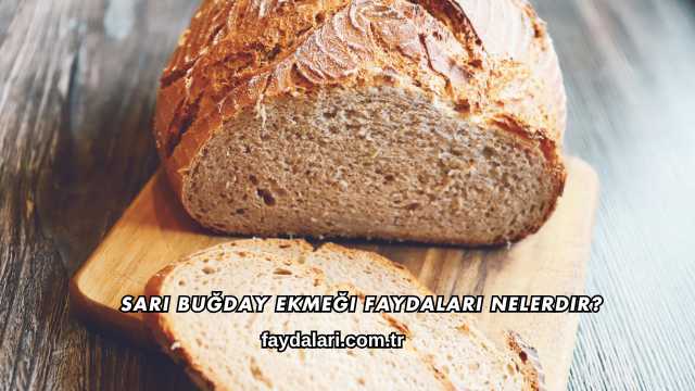 Sarı Buğday Ekmeği Faydaları Nelerdir?