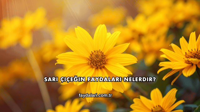Sarı Çiçeğin Faydaları Nelerdir?