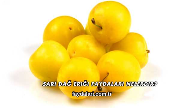 Sarı Dağ Eriği Faydaları Nelerdir?
