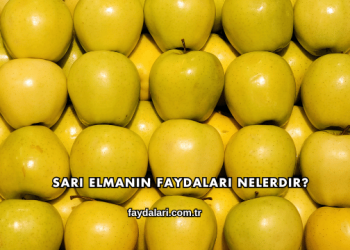 Sarı Elmanın Faydaları Nelerdir?