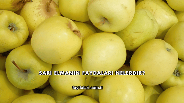 Sarı Elmanın Faydaları Nelerdir?