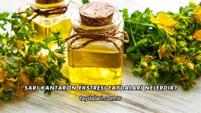 Sarı Kantaron Ekstresi Faydaları Nelerdir?