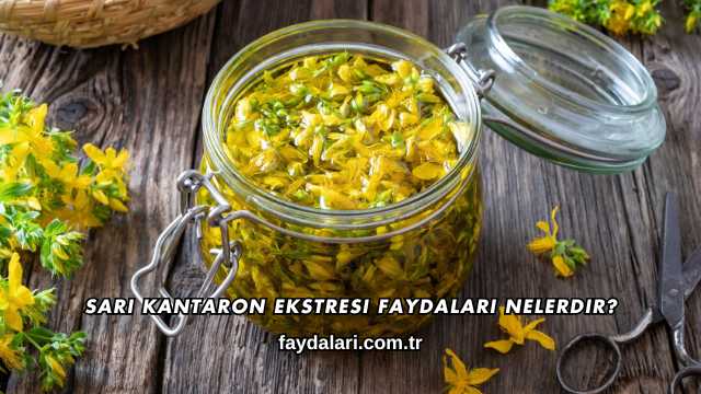 Sarı Kantaron Ekstresi Faydaları Nelerdir?