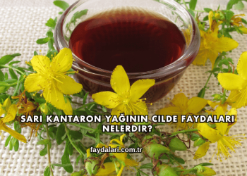 Sarı Kantaron Yağının Cilde Faydaları Nelerdir?