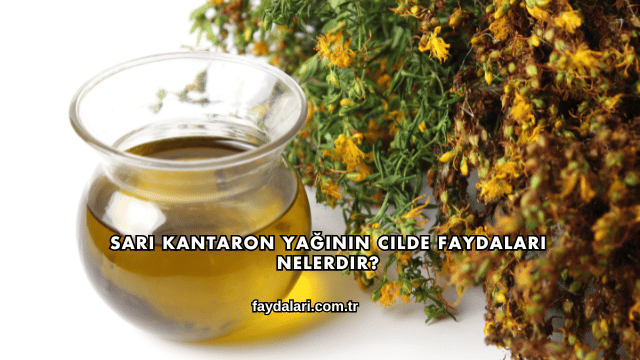 Sarı Kantaron Yağının Cilde Faydaları Nelerdir?