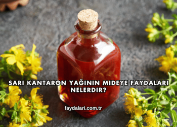 Sarı Kantaron Yağının Mideye Faydaları Nelerdir?