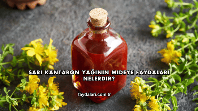Sarı Kantaron Yağının Mideye Faydaları Nelerdir?