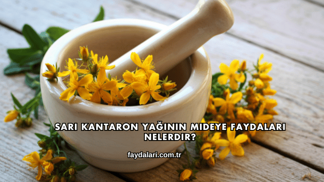 Sarı Kantaron Yağının Mideye Faydaları Nelerdir?