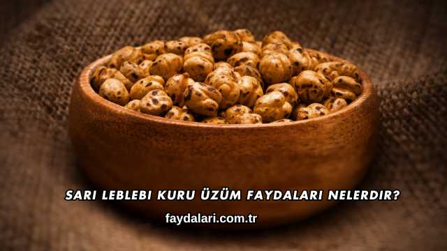 Sarı Leblebi Kuru Üzüm Faydaları Nelerdir?