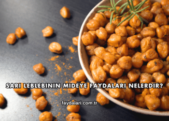 Sarı Leblebinin Mideye Faydaları Nelerdir?