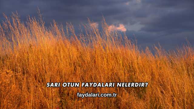 Sarı Otun Faydaları Nelerdir?