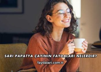 Sarı Papatya Çayının Faydaları Nelerdir?