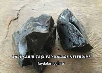 Sarı Sabır Taşı Faydaları Nelerdir?