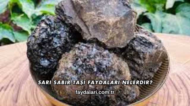 Sarı Sabır Taşı Faydaları Nelerdir?
