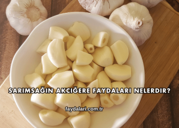 Sarımsağın Akciğere Faydaları Nelerdir?