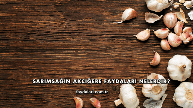 Sarımsağın Akciğere Faydaları Nelerdir?
