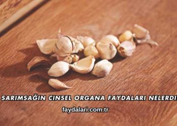 Sarımsağın Cinsel Organa Faydaları Nelerdir?
