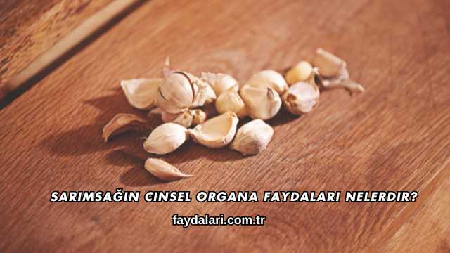 Sarımsağın Cinsel Organa Faydaları Nelerdir?