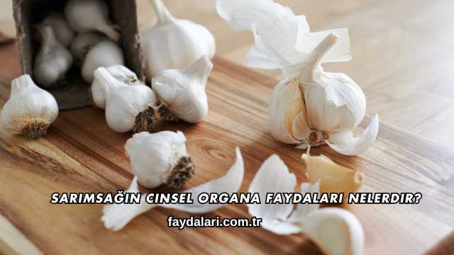 Sarımsağın Cinsel Organa Faydaları Nelerdir?