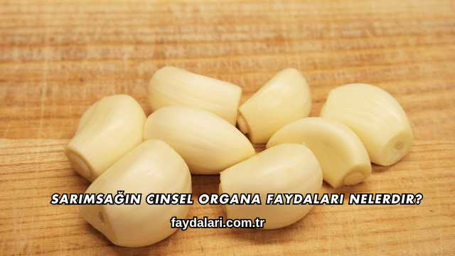 Sarımsağın Cinsel Organa Faydaları Nelerdir?