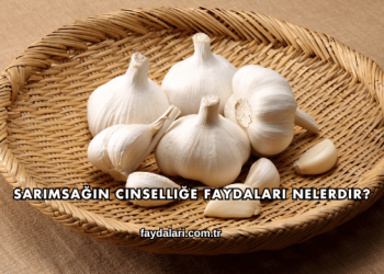 Sarımsağın Cinselliğe Faydaları Nelerdir?