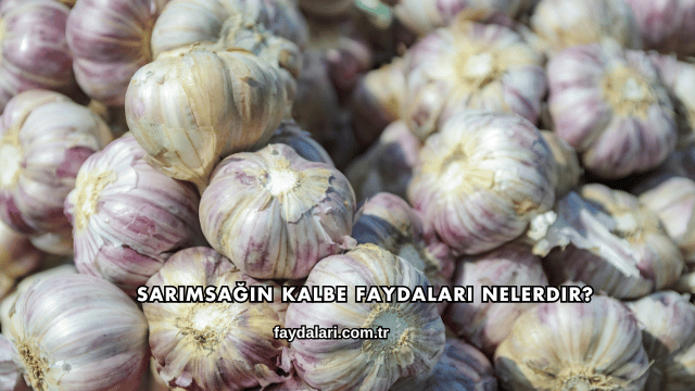 Sarımsağın Kalbe Faydaları Nelerdir?